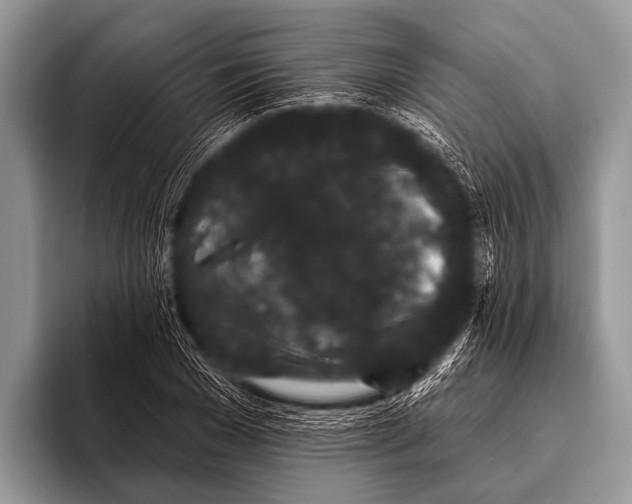 X0000095930977200802081213