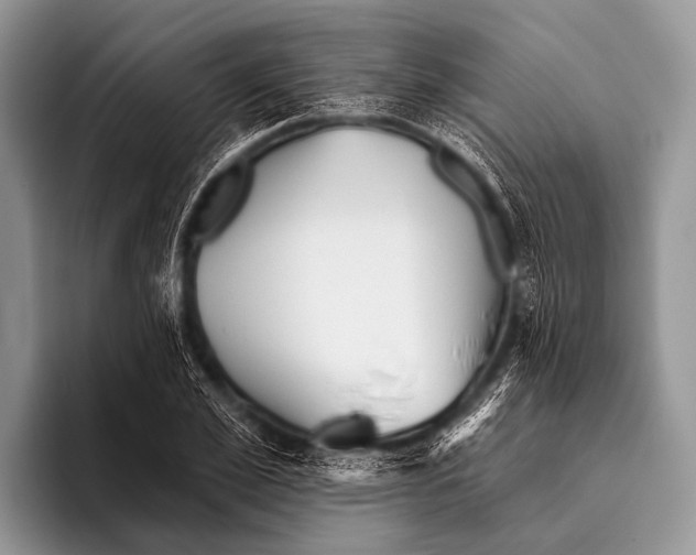 X0000095930981200802081213