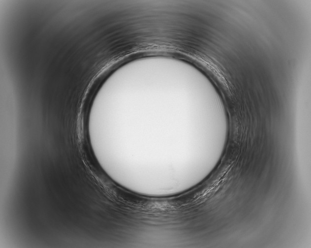 X0000095930982200802081213