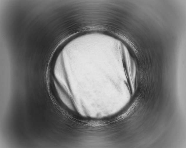 X0000095930983200802081213