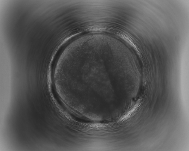 X0000095930984200802081213