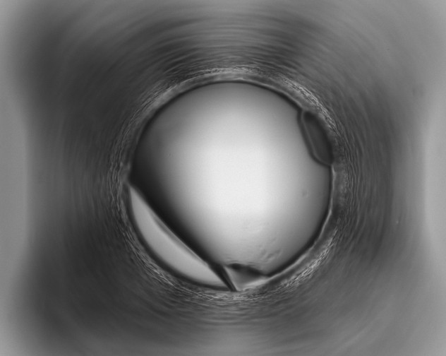 X0000095930985200802081213