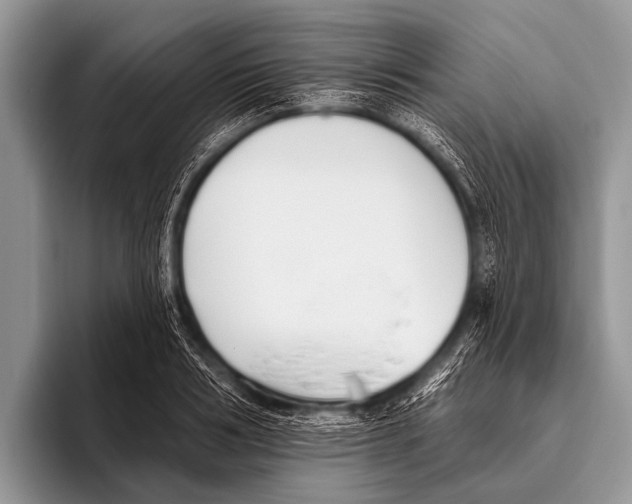 X0000095930986200802081213