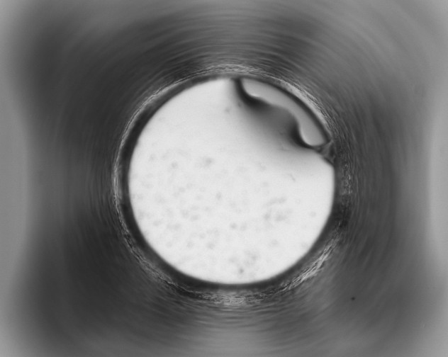 X0000095930987200802081213