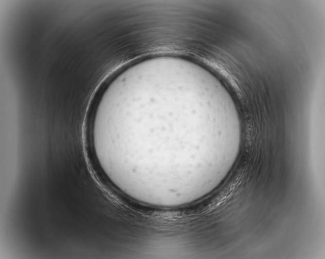 X0000095930991200802081213