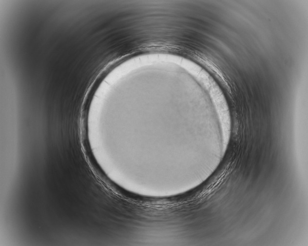 X0000095930992200802081213
