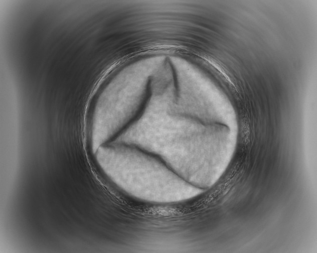 X0000095930994200802081213