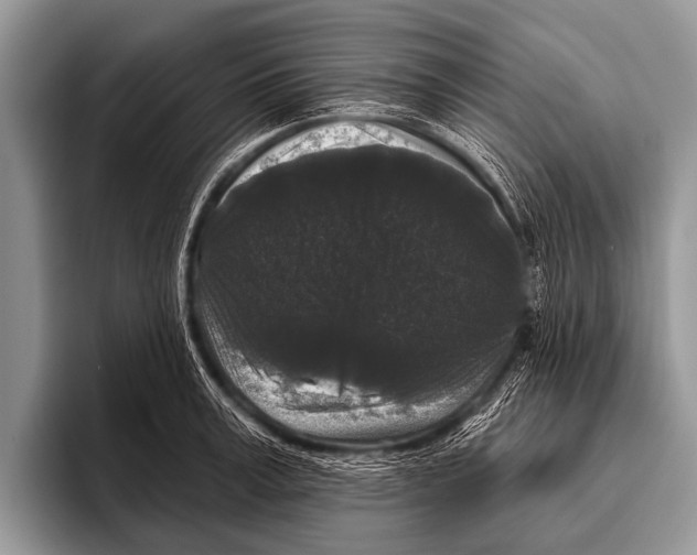X0000095930995200802081213