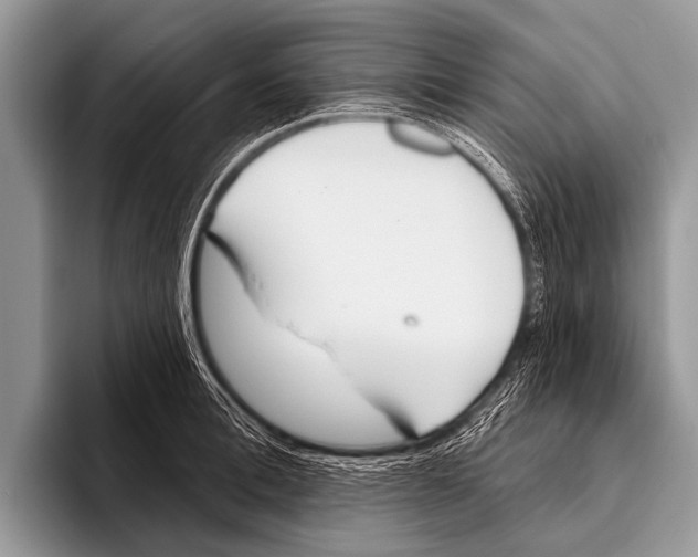 X0000095930996200802081213