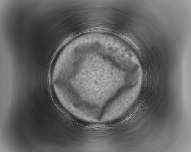 X0000095930998200802081213