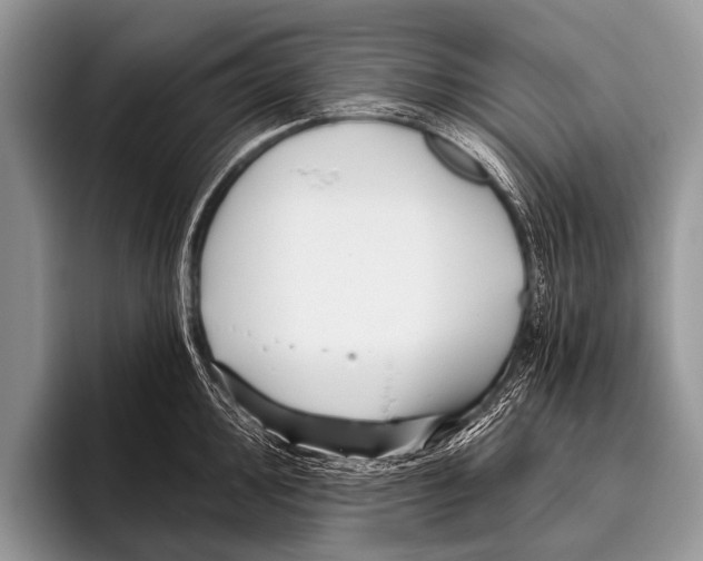 X0000095931000200802081213