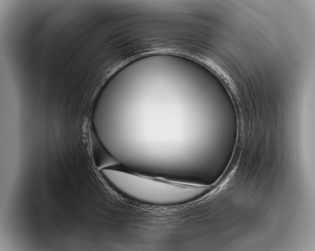 X0000095931001200802081213