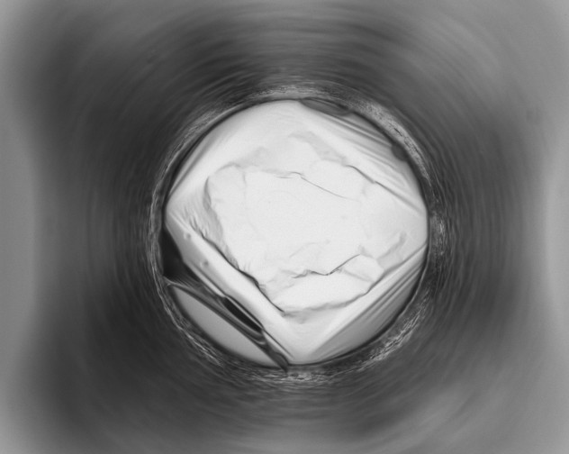 X0000095931002200802081213