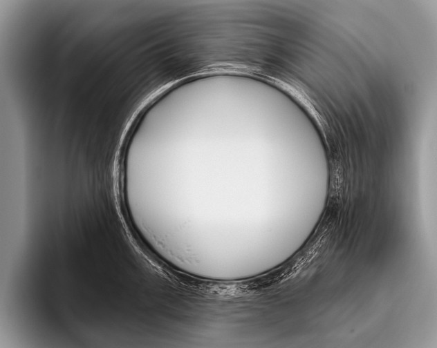 X0000095931003200802081213