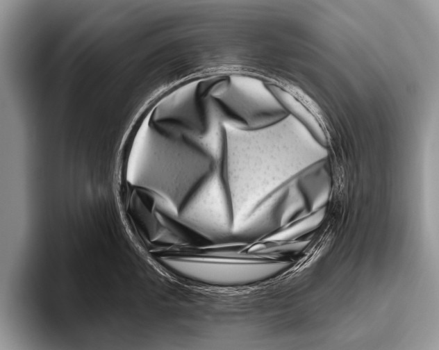 X0000095931005200802081213