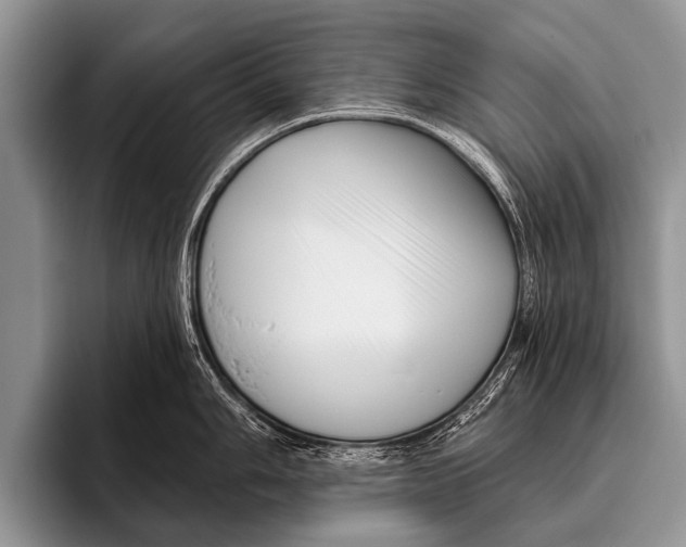 X0000095931006200802081213