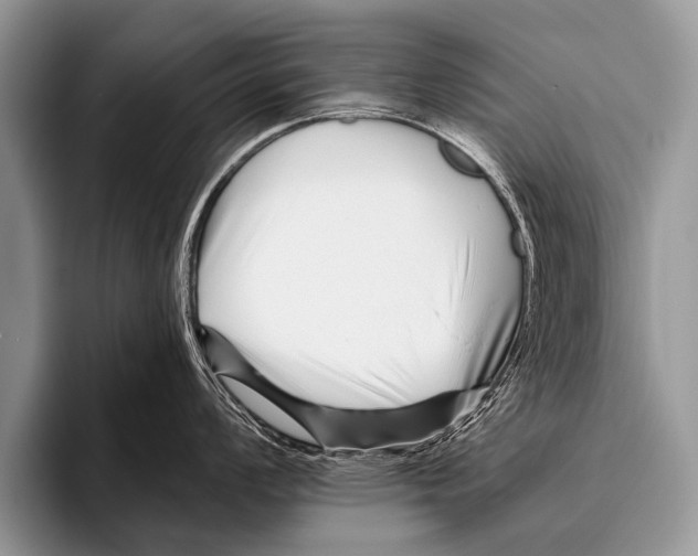 X0000095931008200802081213