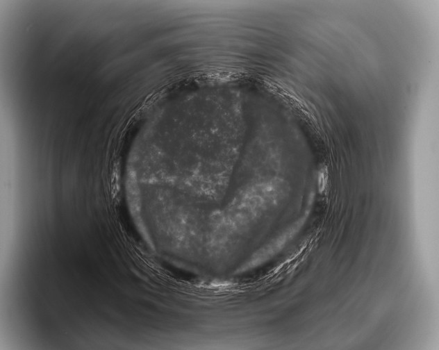 X0000095931011200802081212