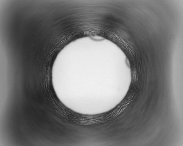 X0000095931012200802081212