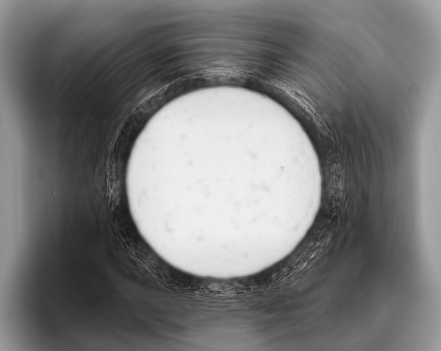 X0000095931015200802081212