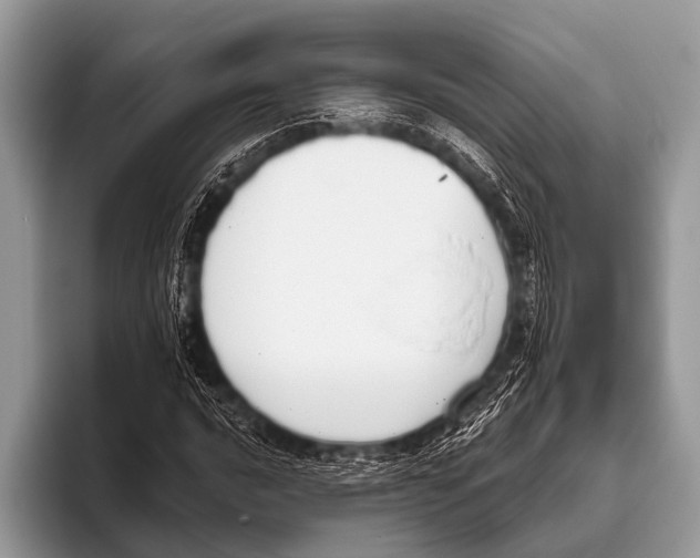 X0000095931016200802081212