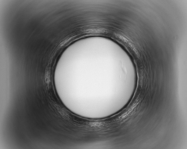 X0000095931017200802081212