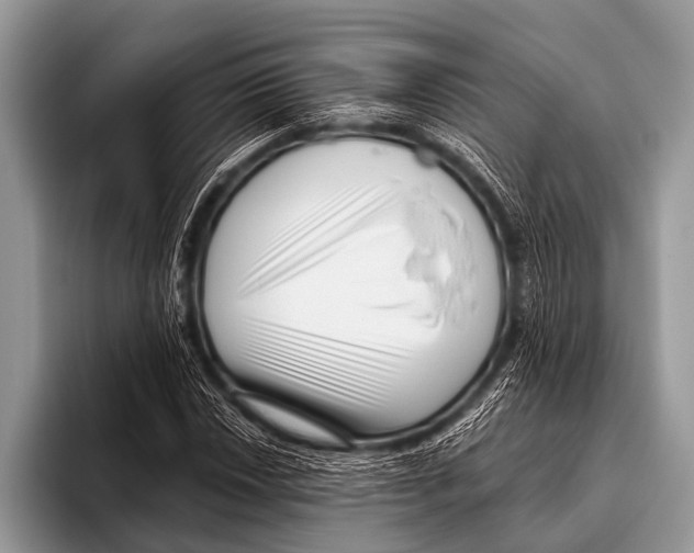 X0000095931018200802081212