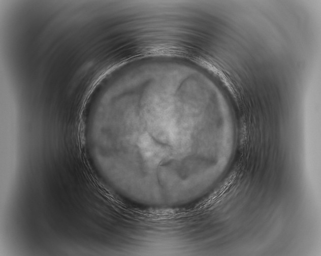 X0000095931019200802081212