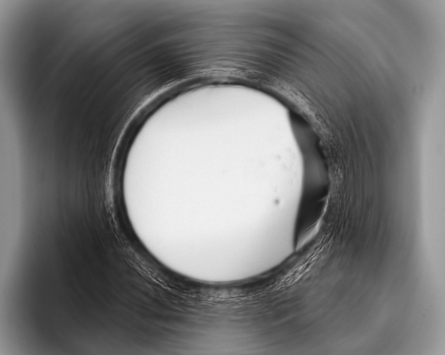 X0000095931020200802081212