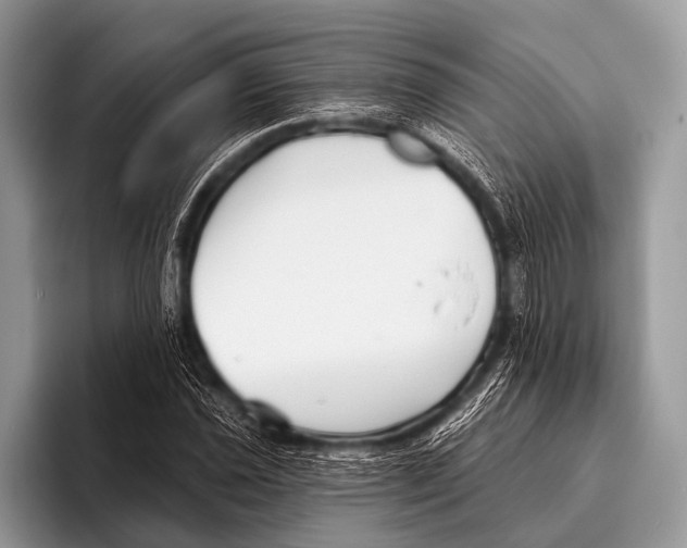 X0000095931021200802081212