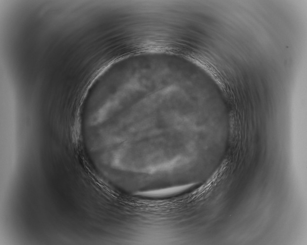 X0000095931023200802081212