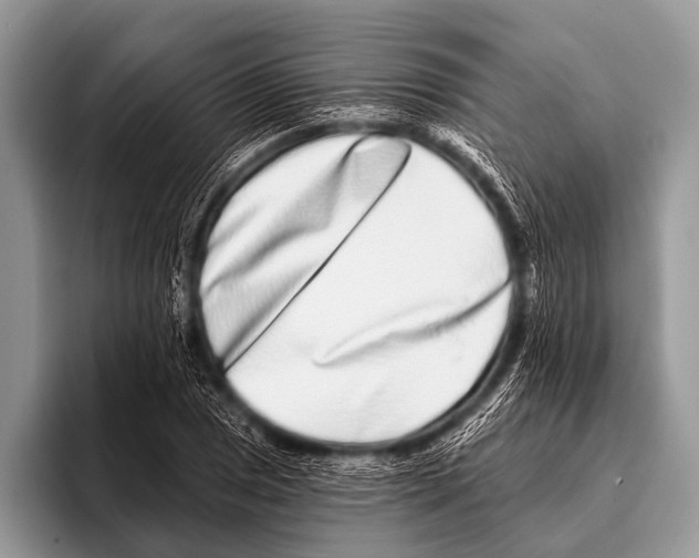 X0000095931025200802081212