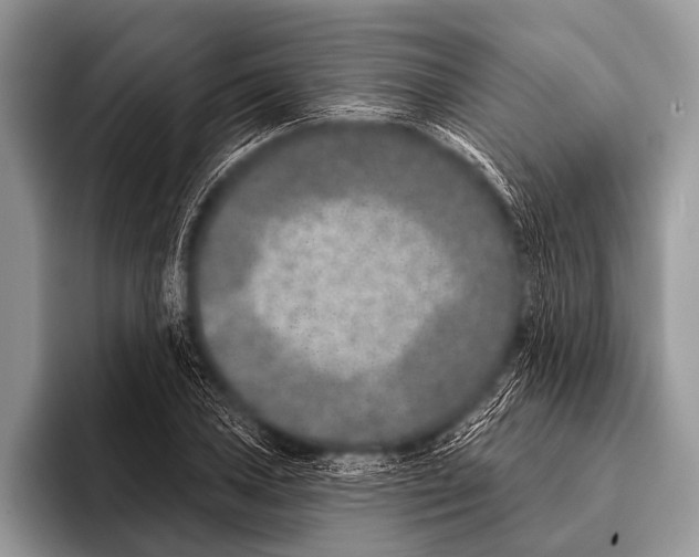 X0000095931027200802081212