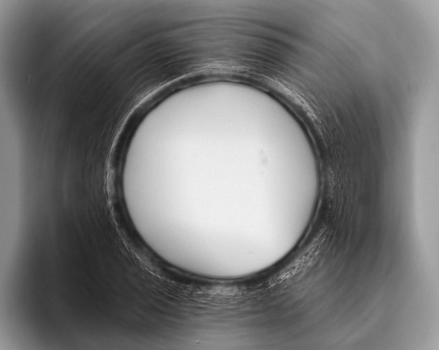 X0000095931029200802081212