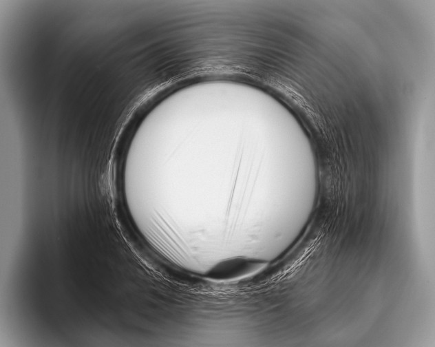 X0000095931030200802081212