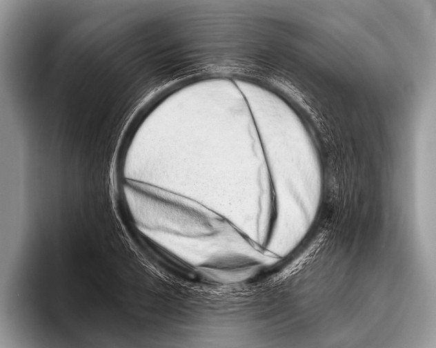 X0000095931032200802081212