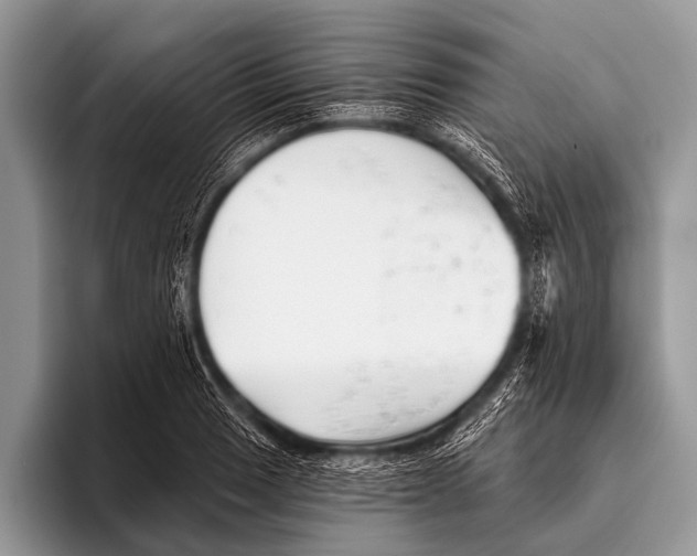 X0000095931033200802081212