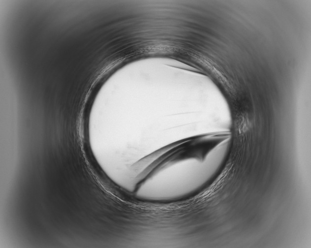 X0000095931034200802081212