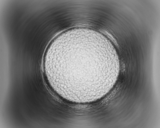 X0000095931036200802081212