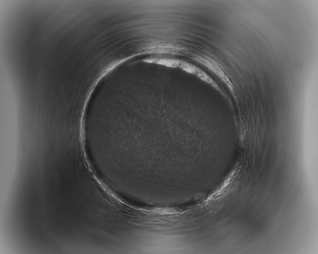 X0000095931037200802081212
