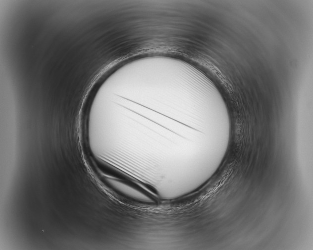 X0000095931038200802081212