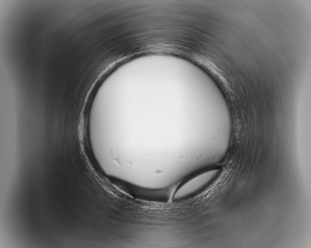 X0000095931040200802081212