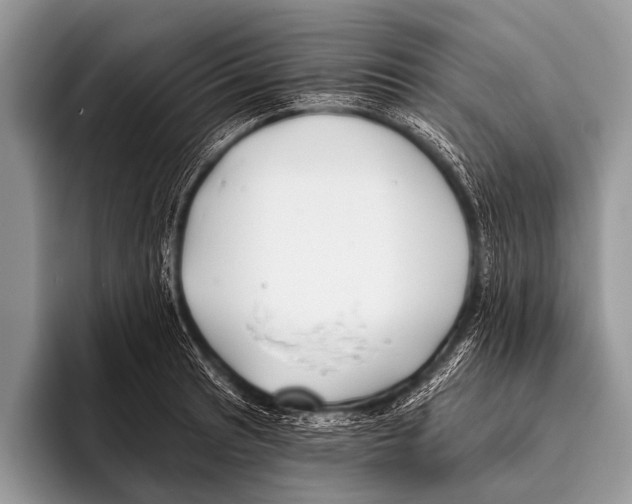 X0000095931041200802081212