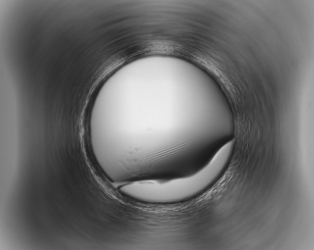 X0000095931042200802081212