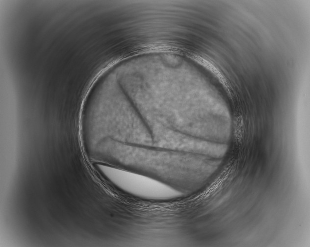 X0000095931043200802081212