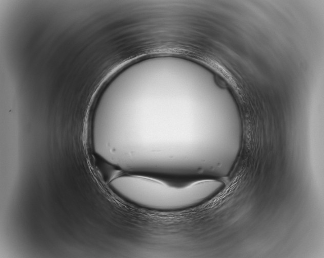 X0000095931044200802081212