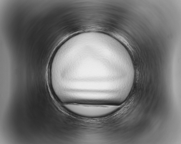 X0000095931047200802081212