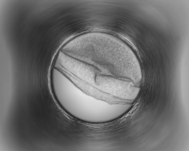 X0000095931048200802081212