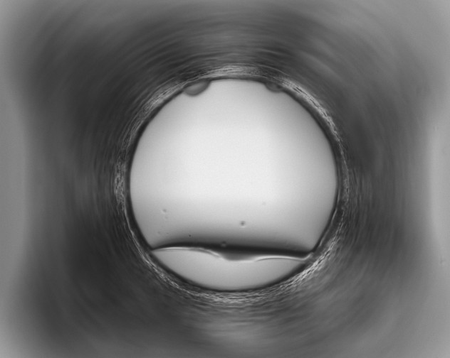 X0000095931049200802081212