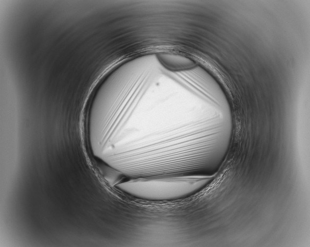 X0000095931050200802081213